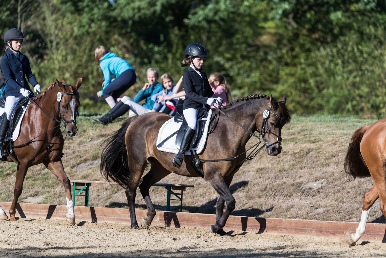 Bild 52 - Pony Akademie Turnier